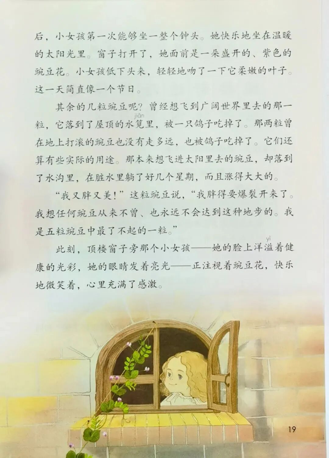 （朗读+知识点）：四年级上册第二单元第5课《一个豆荚里的五粒豆》-小辉娱乐网