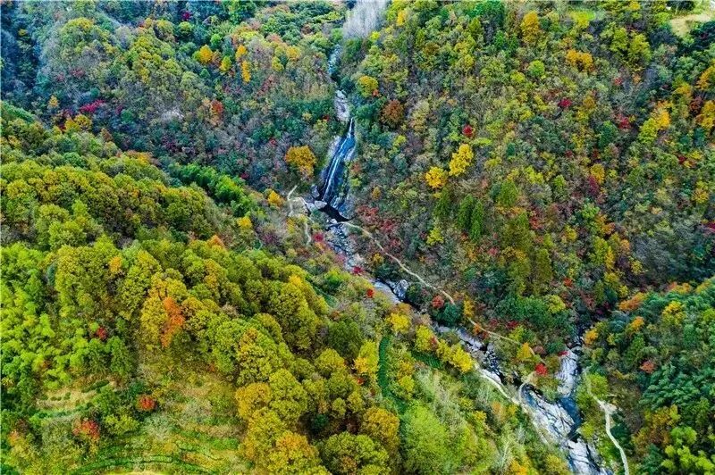 金寨青山镇最新传出来的