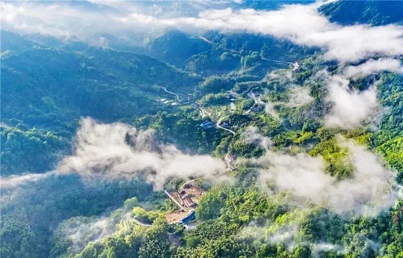 金寨青山镇最新传出来的