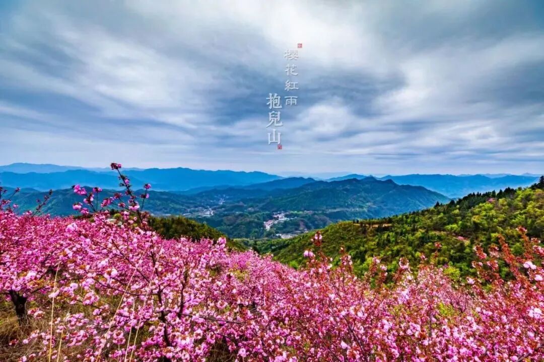 金寨青山镇最新传出来的