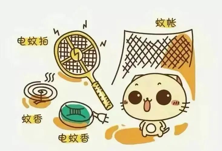 警惕！登革热高发期，预防是关键！-小辉娱乐网