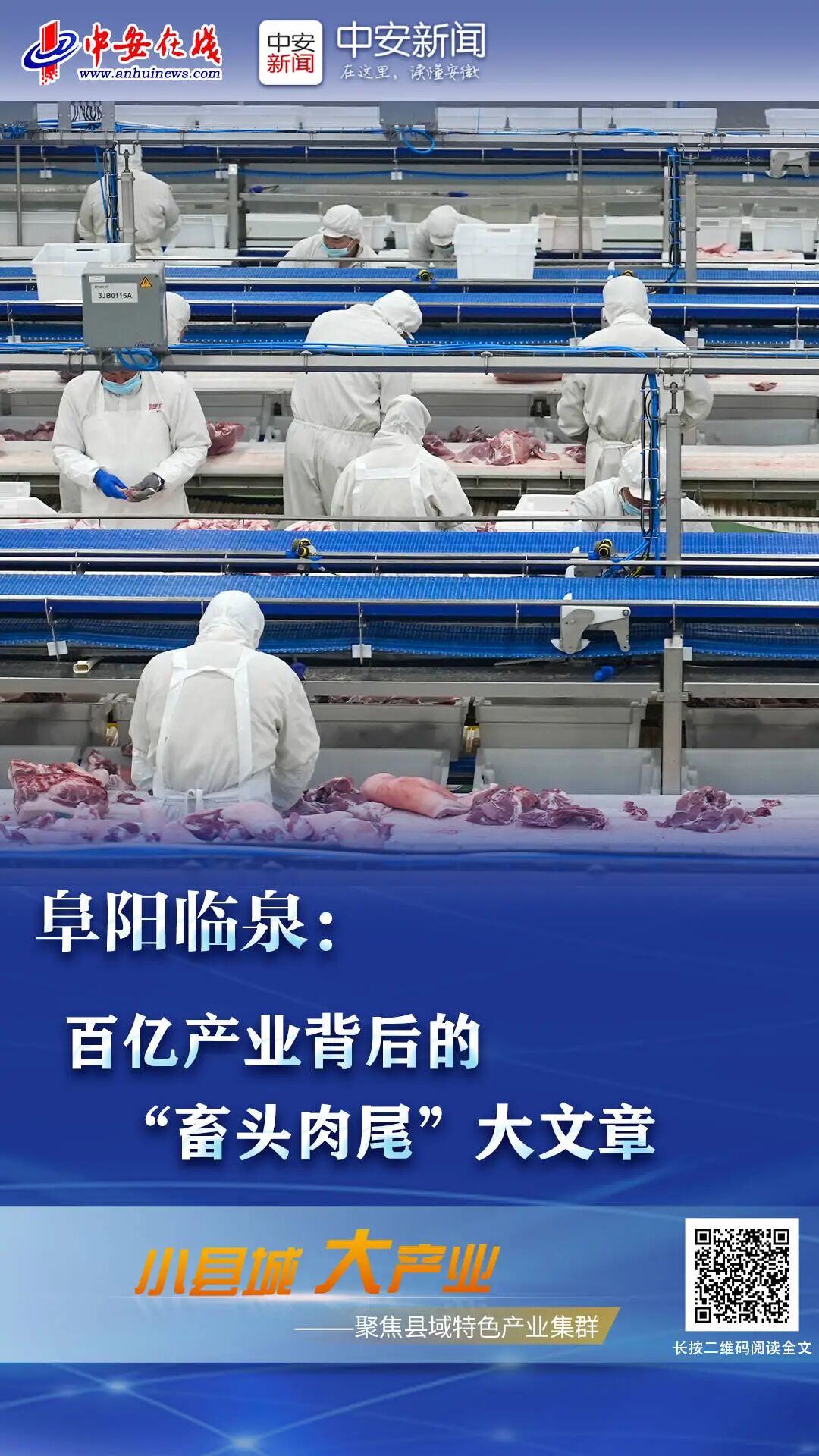 小县城 大产业 | 阜阳临泉：百亿产业背后的“畜头肉尾”大文章-小辉娱乐网