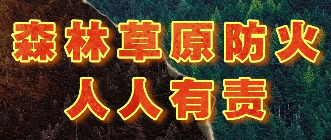 今天14时50分，我们迎来……