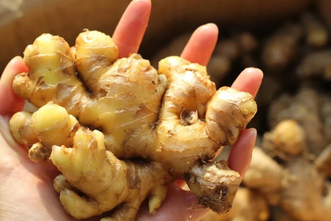 来啦！我的养生好物清单，都是中年老母亲的刚需啊-小辉娱乐网