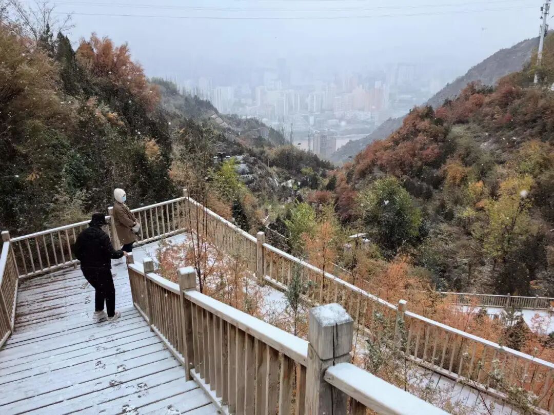 爱了 爱了！今天被兰州的雪“刷屏”了！-小辉娱乐网