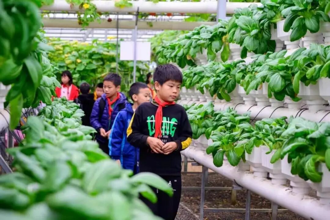 全球学子嘉游赣丨章贡特色乡村好风光不容错过，看一眼你就会爱上！-小辉娱乐网