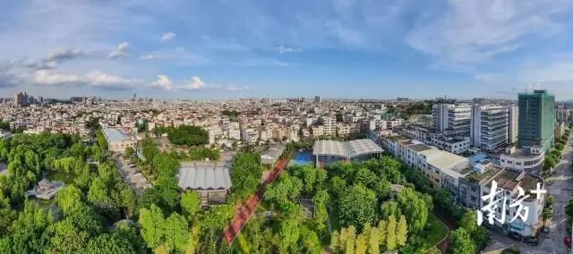 永宁社区：洪拳铸敢闯风骨 荼薇扬慈善侨韵｜风韵南粤·文化兴城侨村行⑫-小辉娱乐网