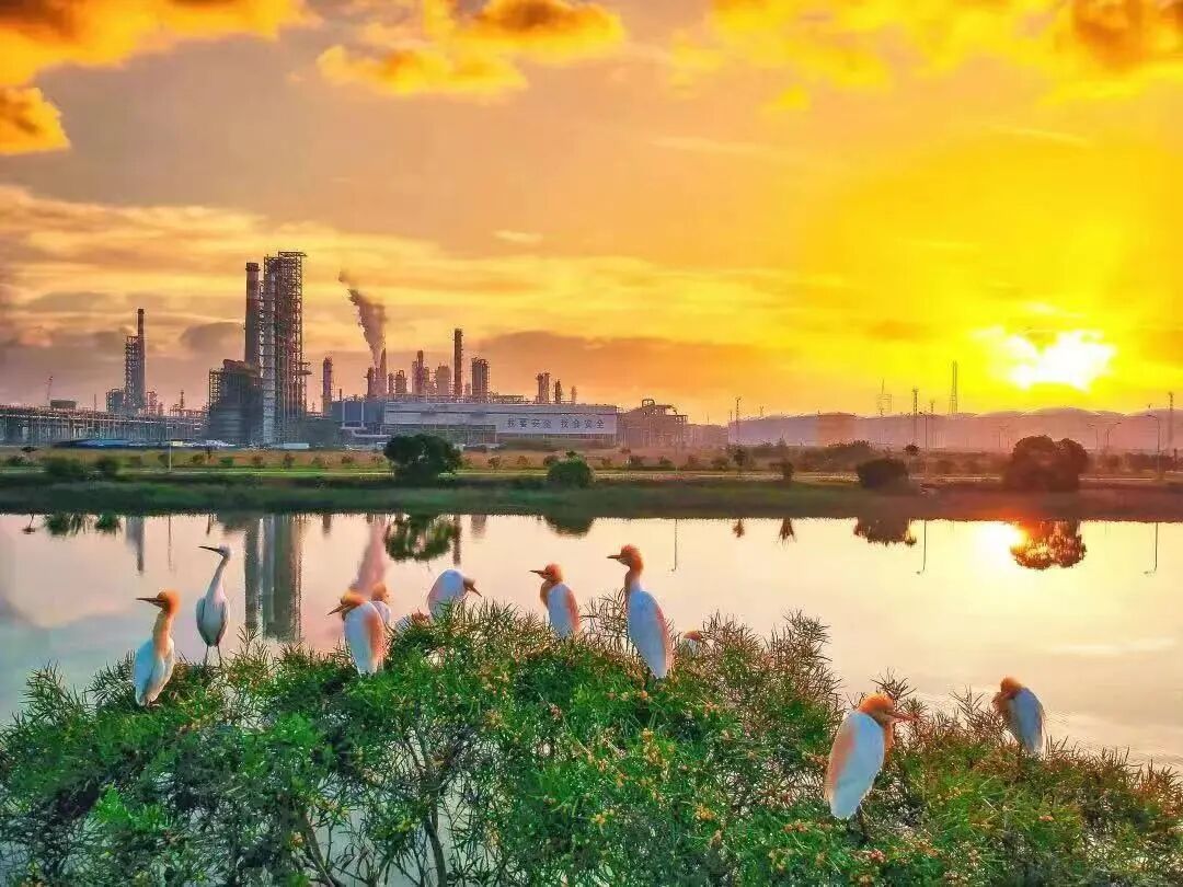 晋江、惠安入选福建省县域重点产业链发展白皮书典型案例-小辉娱乐网