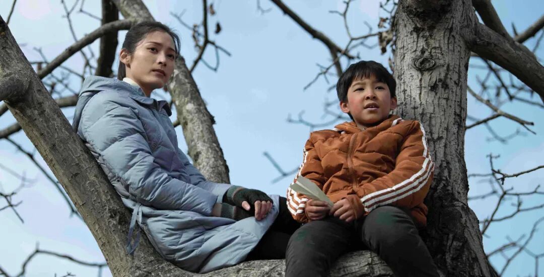 定了！作家王洁小说改编电影《远山花开》将在央视电影频道首播-小辉娱乐网