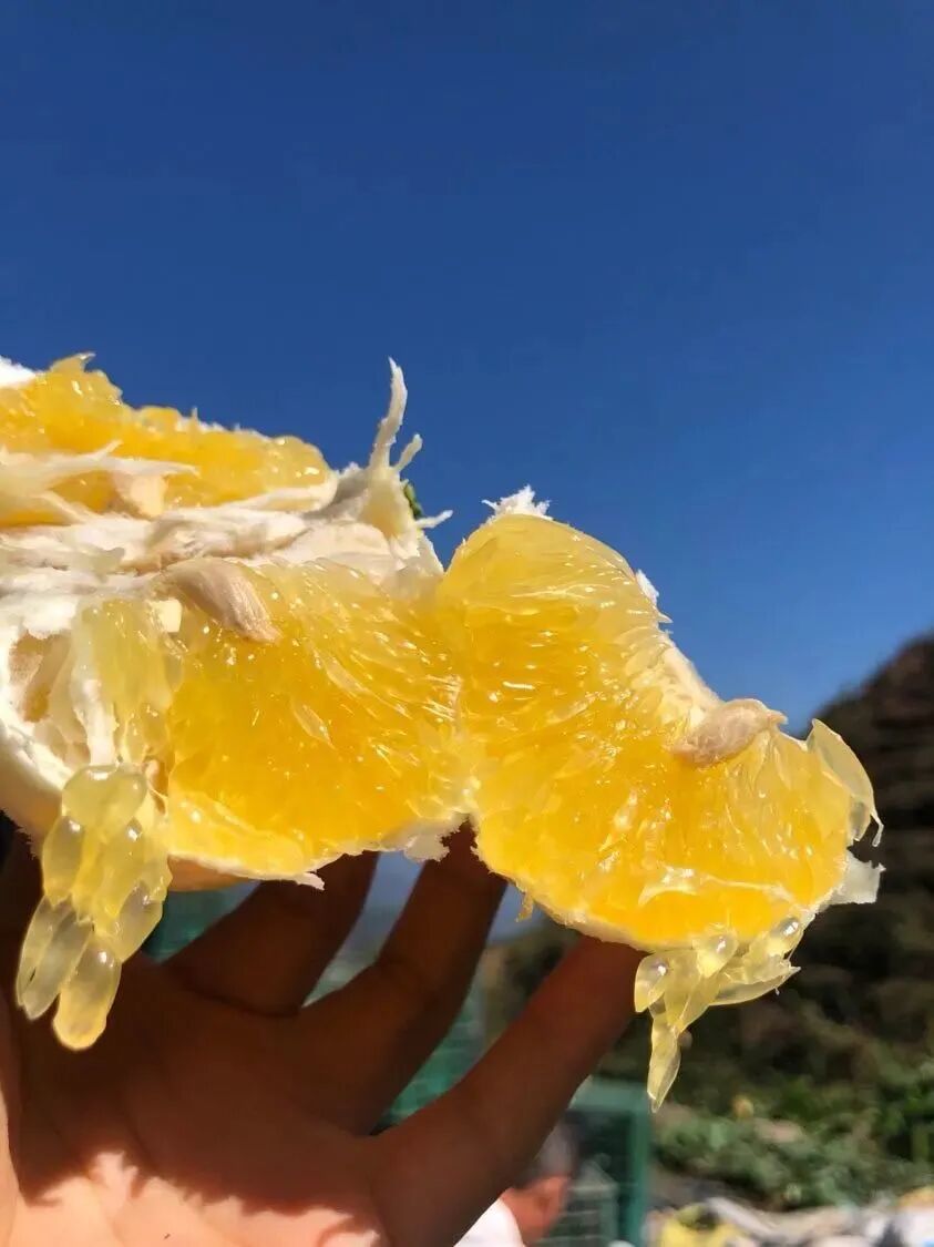 VC丰富还养颜轻脂，这是报恩水果啊！-小辉娱乐网