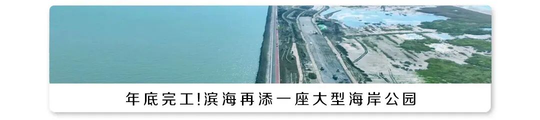 快去打卡！滨海新区这里要火了！