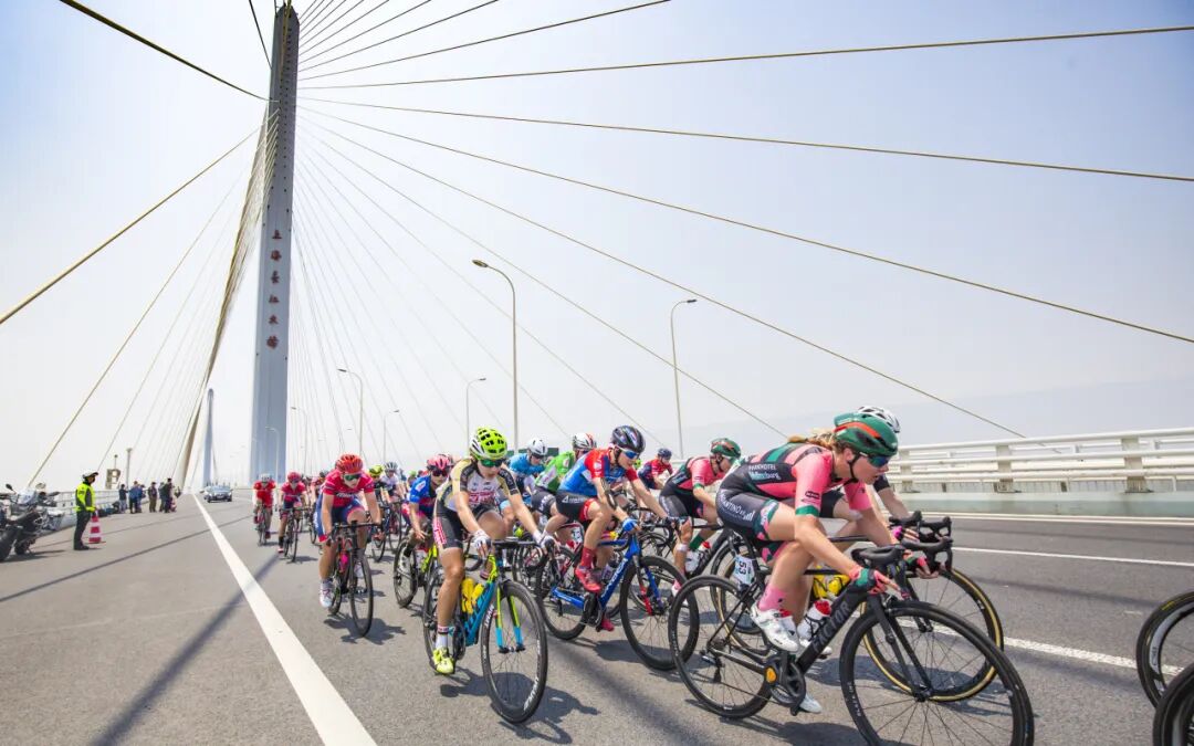 上海博物馆今起暂停开放、第二十二届中国上海国际艺术节周日开幕、“上马”抽签结果周五公布……本周提示来了!-小辉娱乐网