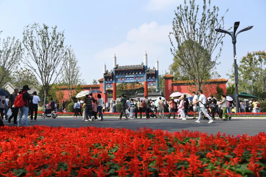 1105.07万人次！合肥火爆“出圈”