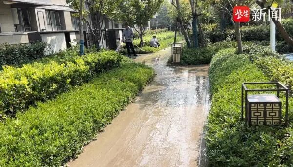 业主私挖地下室挖通河道水倒灌车库？官方通报-小辉娱乐网