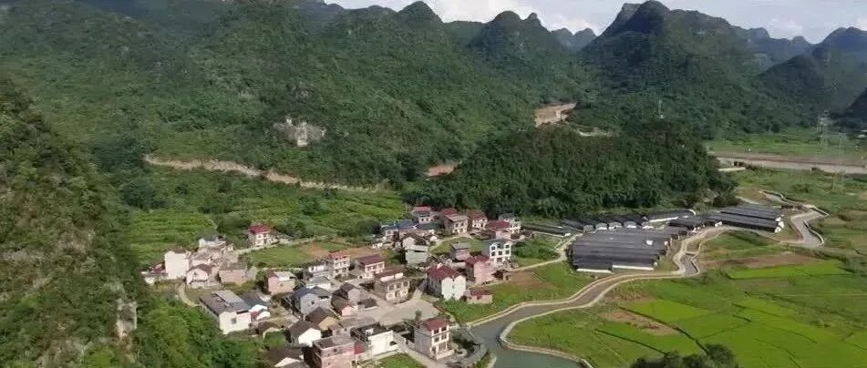 尊嘟假嘟？这居然是一份新生入学攻略？！-小辉娱乐网