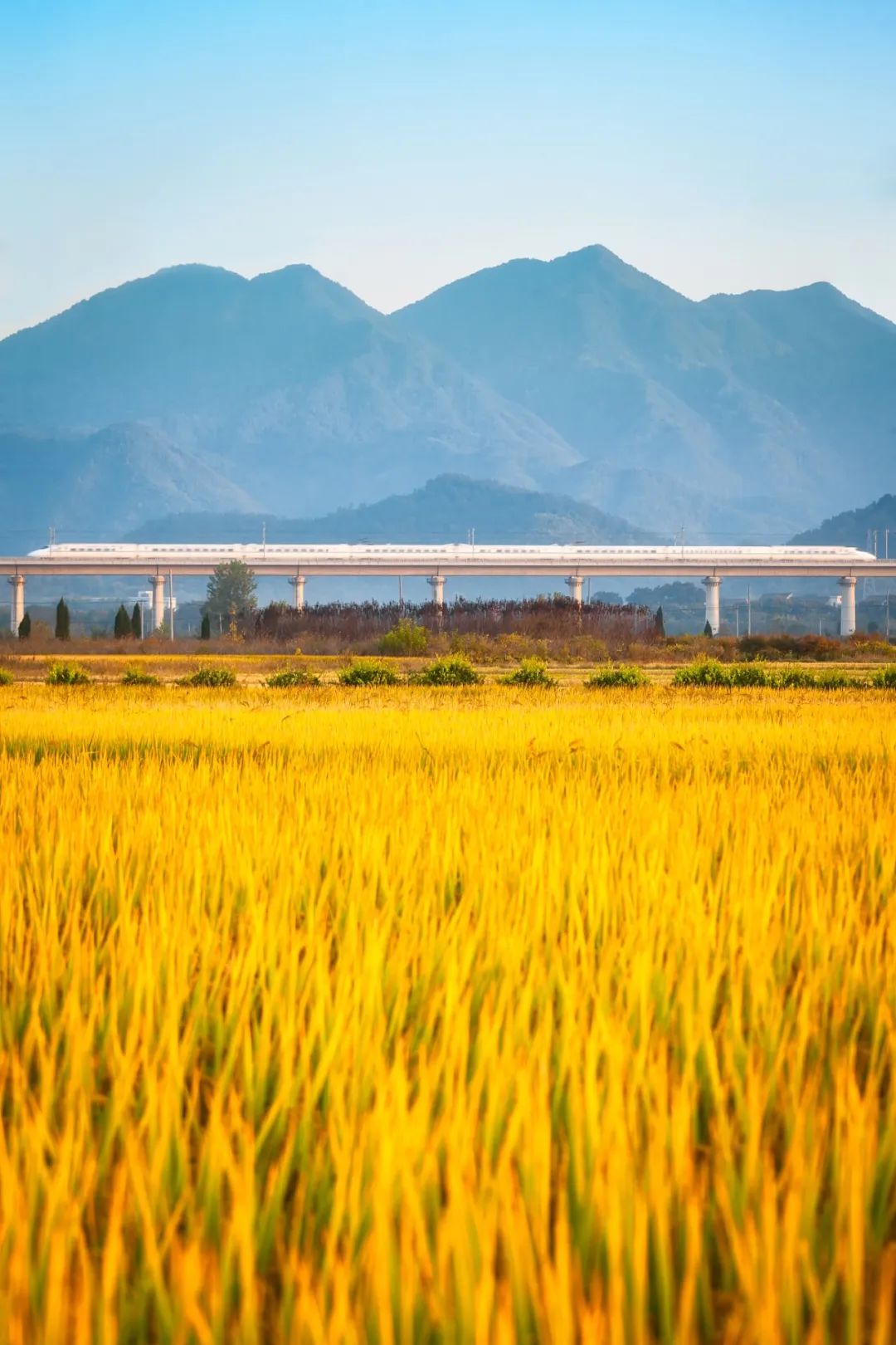 今天14时50分，我们迎来……