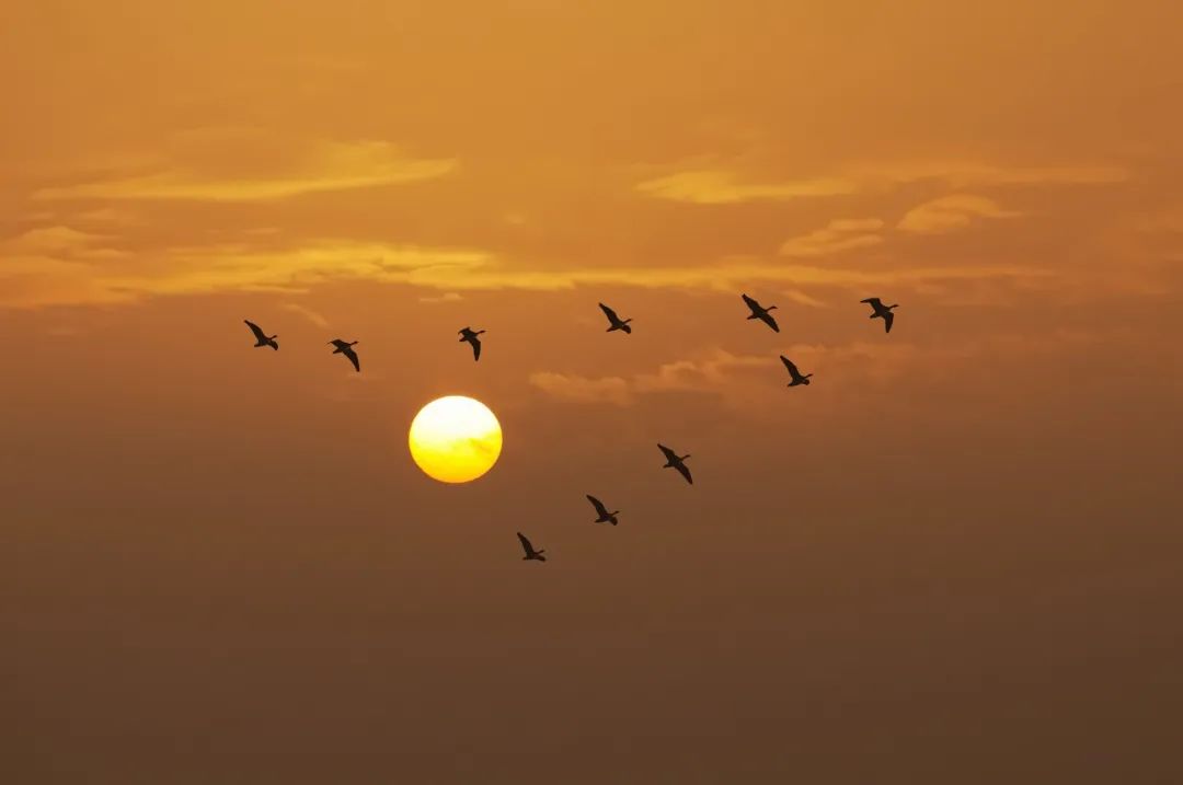 今天14时50分，我们迎来……