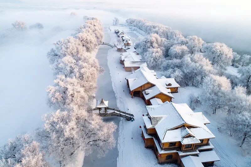 今日大雪-小辉娱乐网