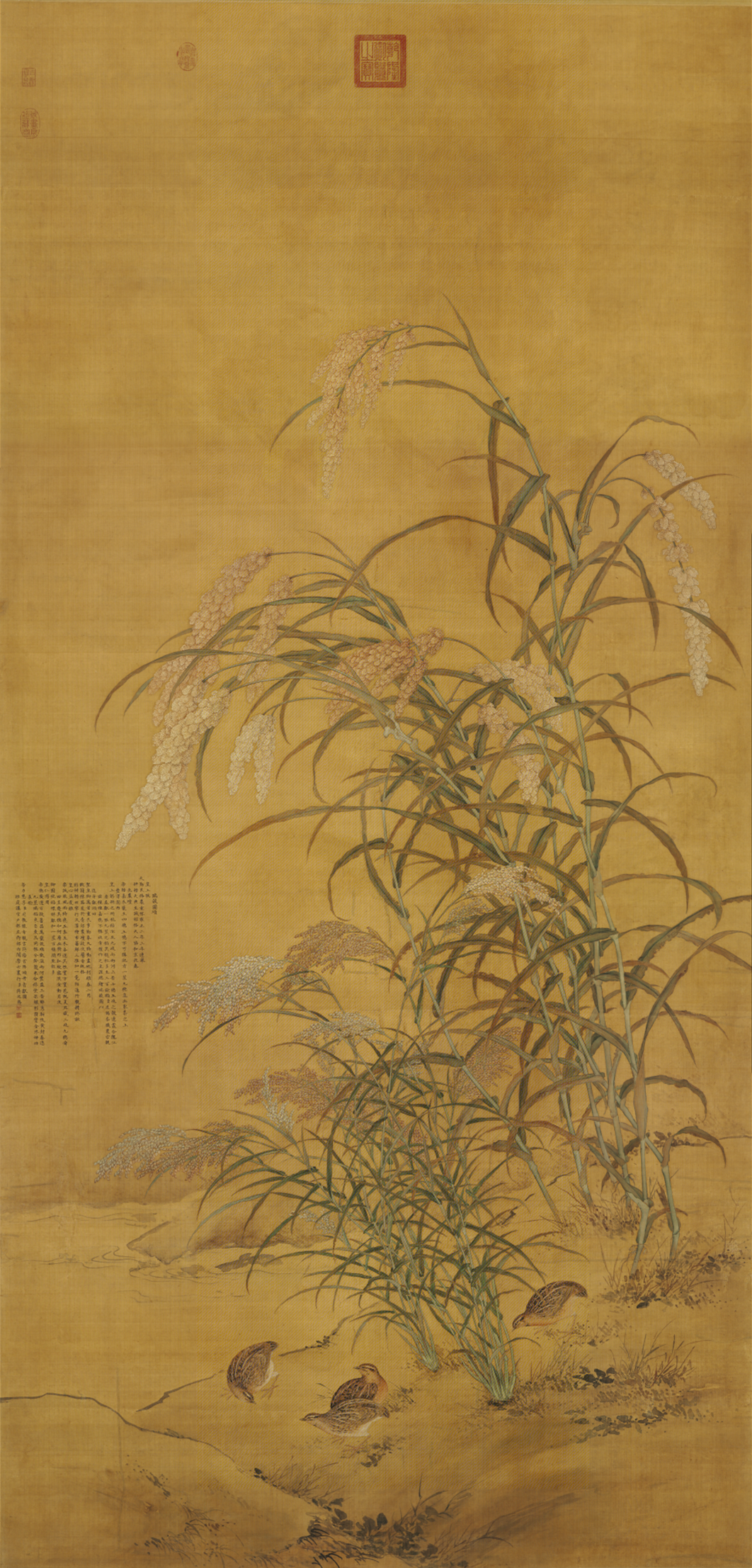 恽寿平和蒋廷锡：清初花鸟画坛的双璧