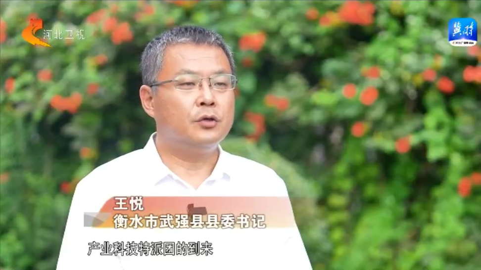 【文明实践在武强】奏响武强乐器制造交响 点亮县域特色产业光芒-小辉娱乐网