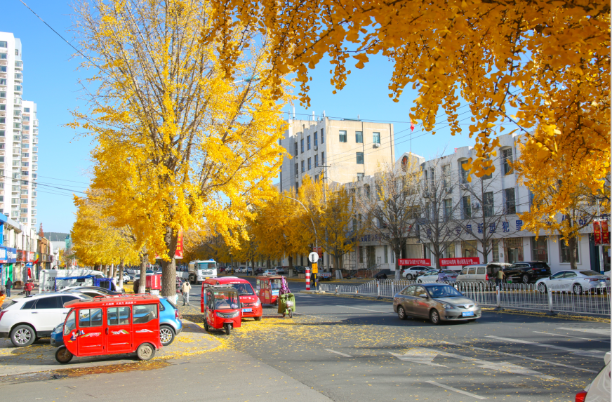 费县有一种美，叫满城尽带黄金甲-小辉娱乐网