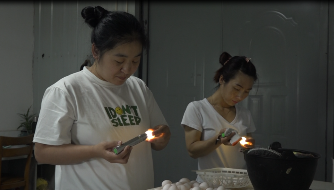 经济强省 美丽河北·一线观察丨阜平县：飞“鸽”送来新“硒”望