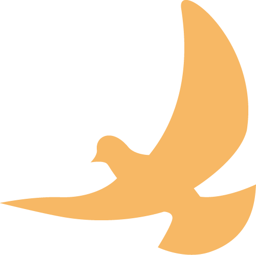 墨竹工卡县委主要领导前往华泰龙公司调研检查复工复产和安全生产工作-小辉娱乐网