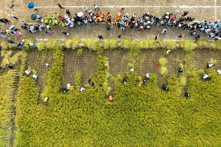 好热闹！泰顺这场村运会，太燃了！-小辉娱乐网