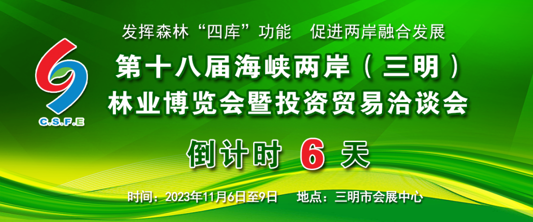 聚焦林博会 | 建宁：突出重点产业提前谋划项目