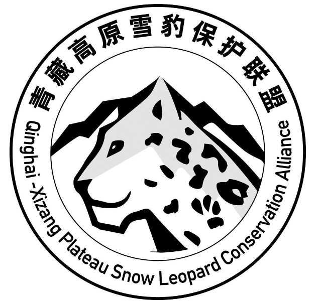 切阳什姐有了新身份！-小辉娱乐网