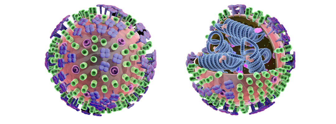 预防流感，谨记这些小妙招！-小辉娱乐网
