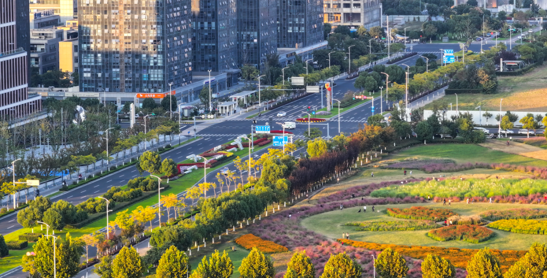 11月12日，地铁运营有调整！