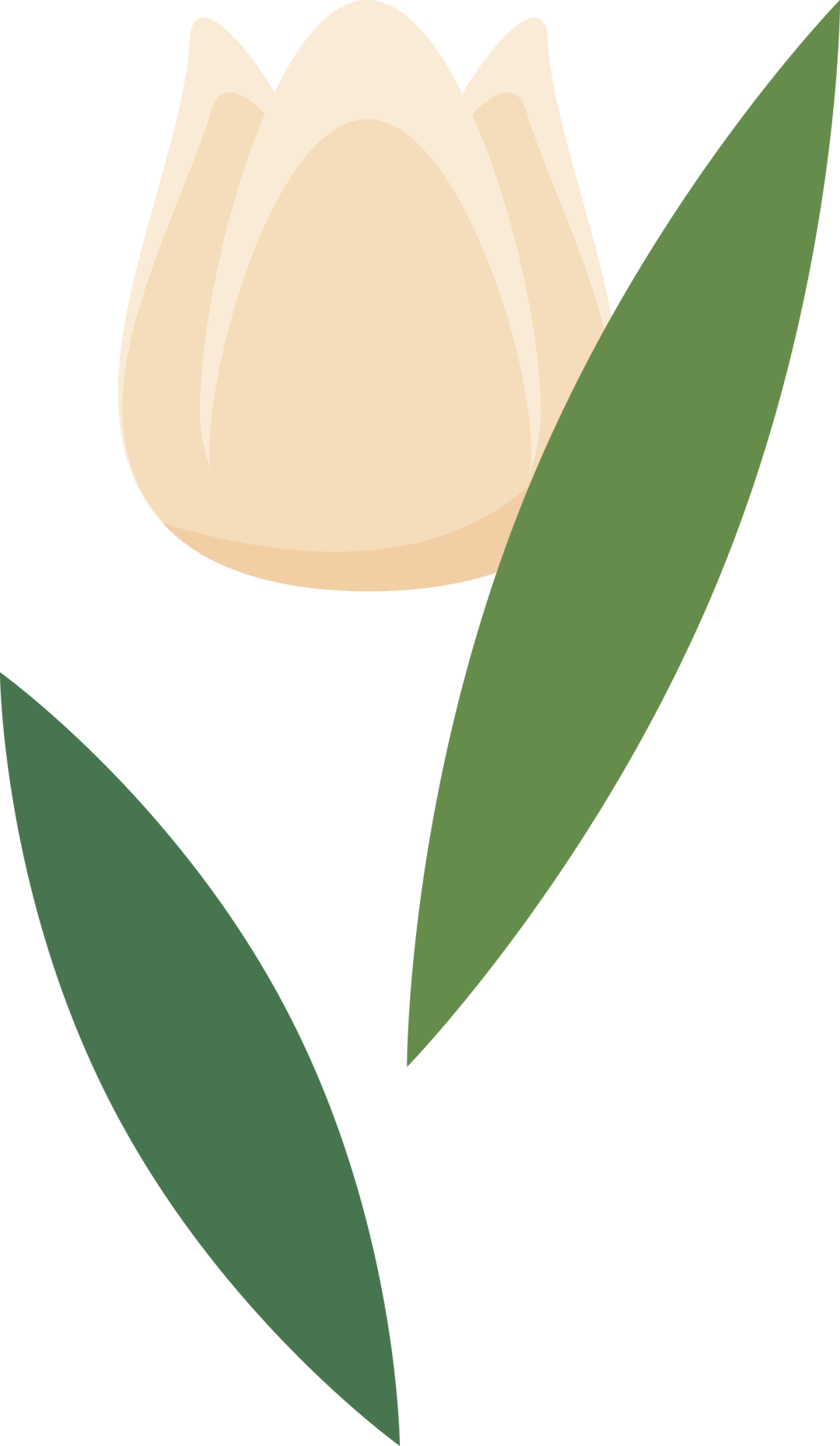 昌邑乡隆重举行庆祝全国第39个教师节暨表彰大会-小辉娱乐网