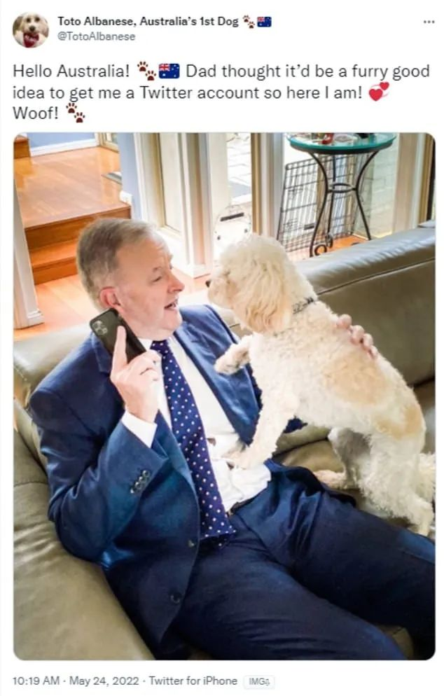 “每天以泪洗面”!澳总理自曝因谩骂情绪崩溃!网友:? 此前街头买猪肉卷被骂惨,独子被曝“拼爹”走后门进大厂,享VVIP待遇-小辉娱乐网