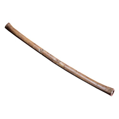 讲座预告|戴向明：《中国文明的发源与早期发展》-小辉娱乐网