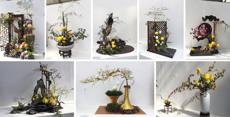 举国欢庆团圆时｜速看！汤池假日的N种玩儿法 →-小辉娱乐网