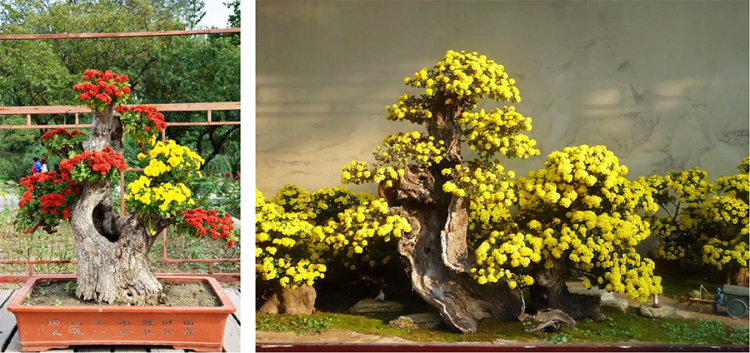 举国欢庆团圆时｜速看！汤池假日的N种玩儿法 →-小辉娱乐网