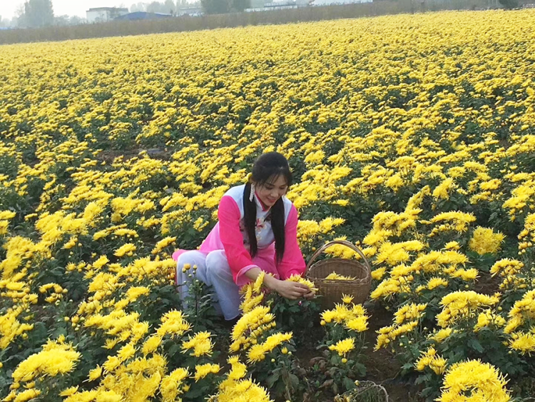 举国欢庆团圆时｜速看！汤池假日的N种玩儿法 →-小辉娱乐网