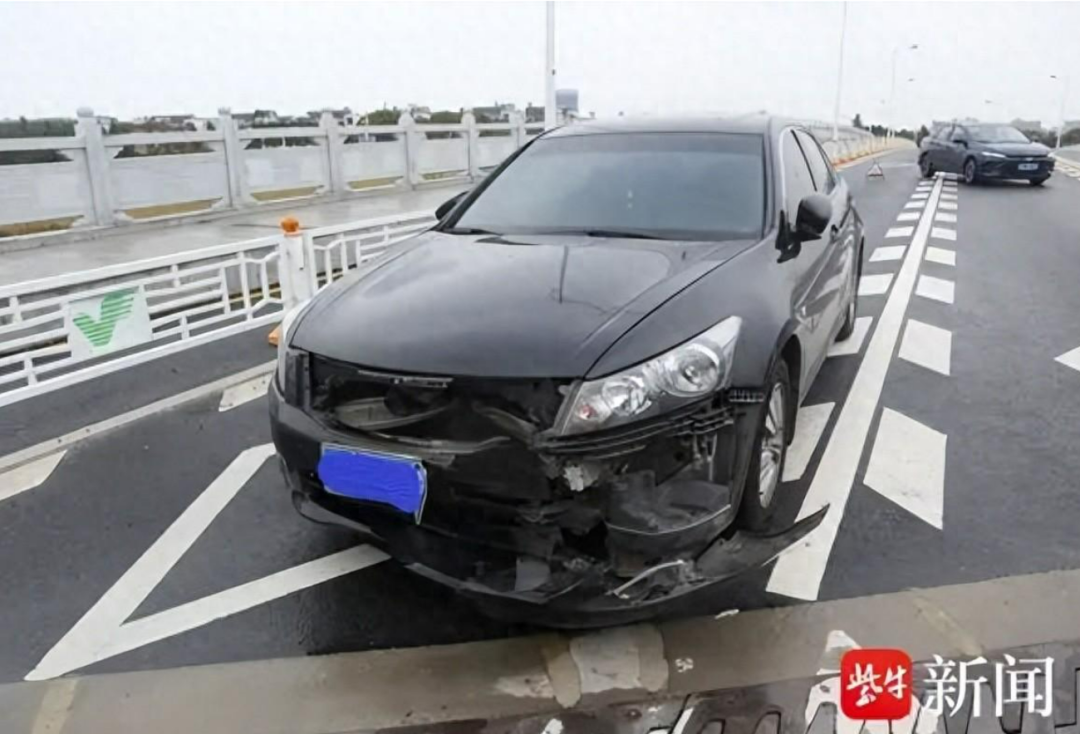 路上撞翻野猪被判全责！网友：猪没事就行-小辉娱乐网