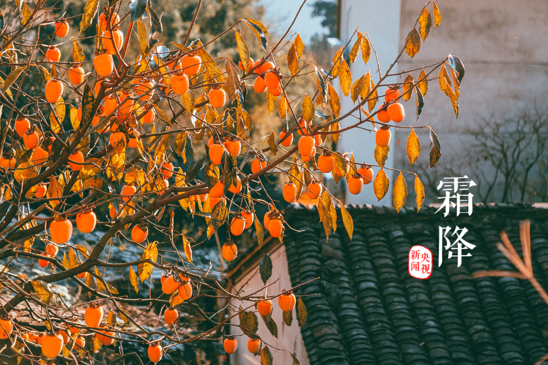 0点20分，婺源迎来……-小辉娱乐网