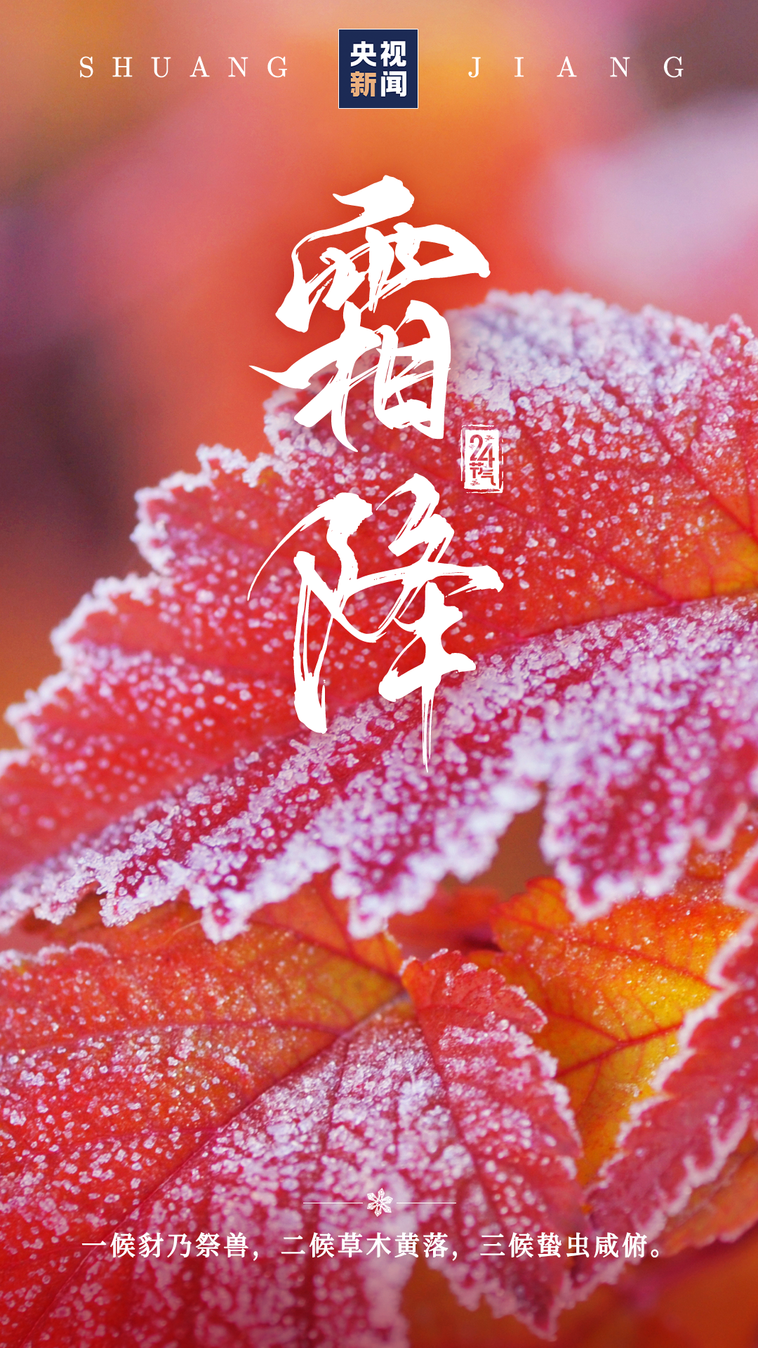 二十四节气 | 今日霜降-小辉娱乐网