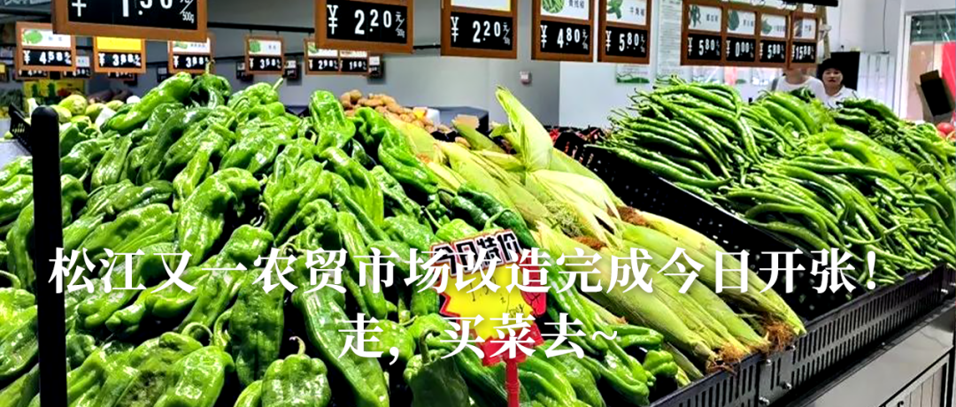 阿姨爷叔注意！上海种牙补牙洗牙都有减免啦，申领攻略→-小辉娱乐网