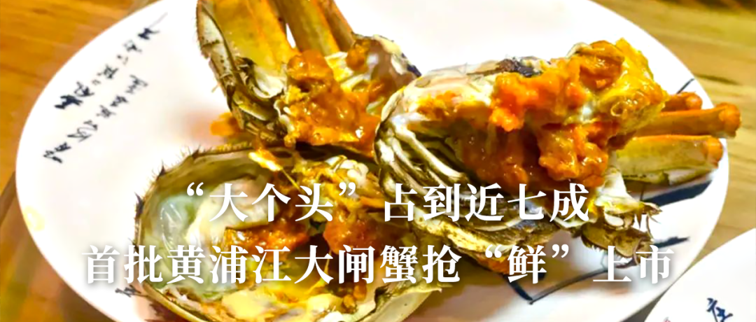 改造人行步道、统一店招店牌、停车规划管理……松江这条专卖“旧货”的老街展新颜-小辉娱乐网