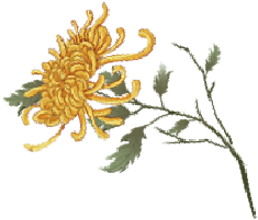 【灵宝三高】缤纷社团展风采 魅力校园谱华章-小辉娱乐网