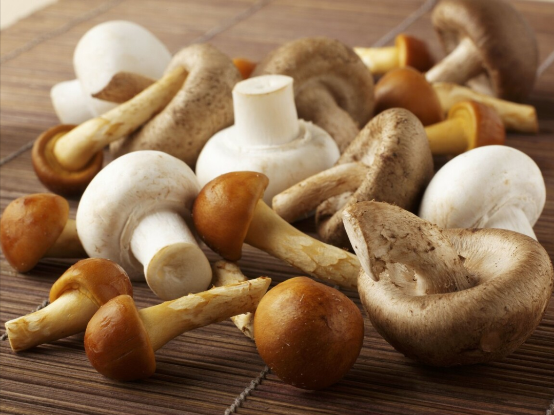 蔬菜对身体有益无害？这些蔬菜，是痛风的帮手，要注意甄别-小辉娱乐网