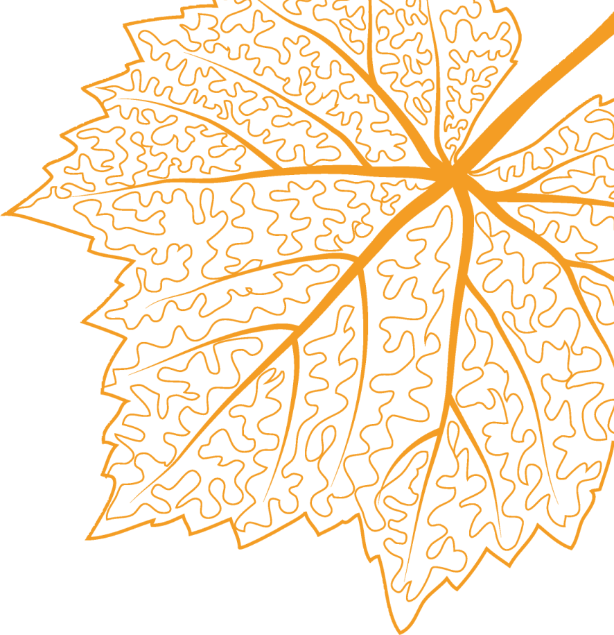 秋冬季传染病预防宣传（十 ）——关于呼吸道合胞病毒，这些干货知识请收好！-小辉娱乐网