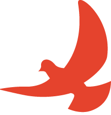 为他们点赞！璧山区2023年度“新时代好少年”事迹展播-小辉娱乐网